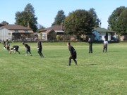 OTFL Gallery Image
